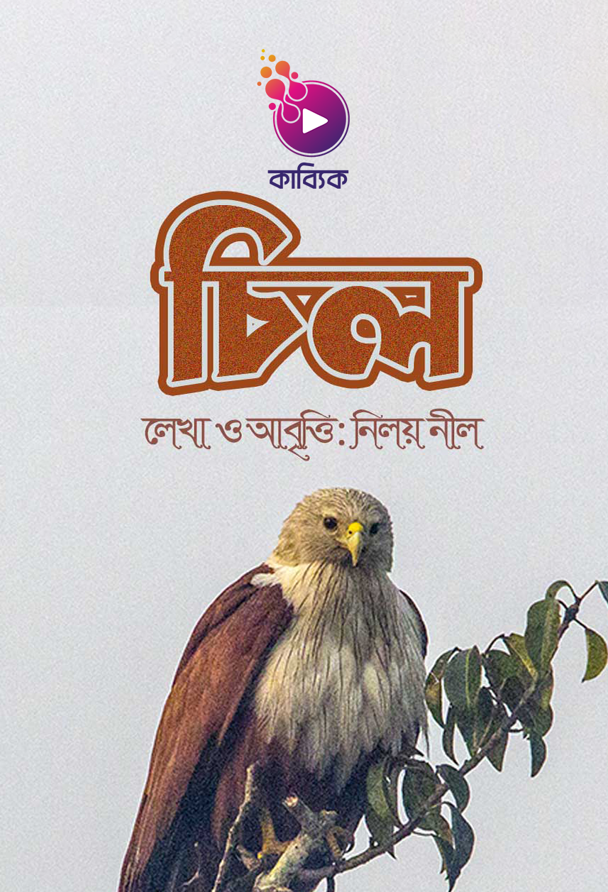 চিল_kabbik