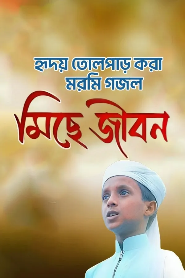 মিছে জীবন_kabbik